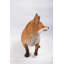 Walking Fox Statue