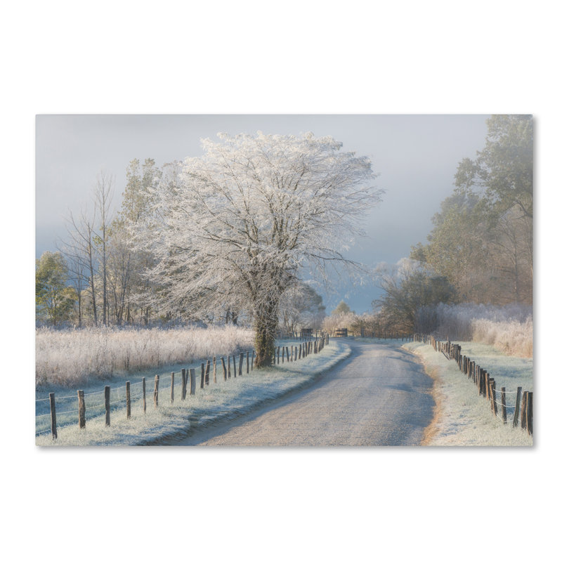 Art mural sur toile tendue - "A Frosty Morning" par Chris Moore pour décoration de salon, de chambre à coucher ou de bureau - 22 x 32