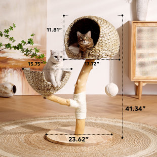 Structure d'escalade pour chat