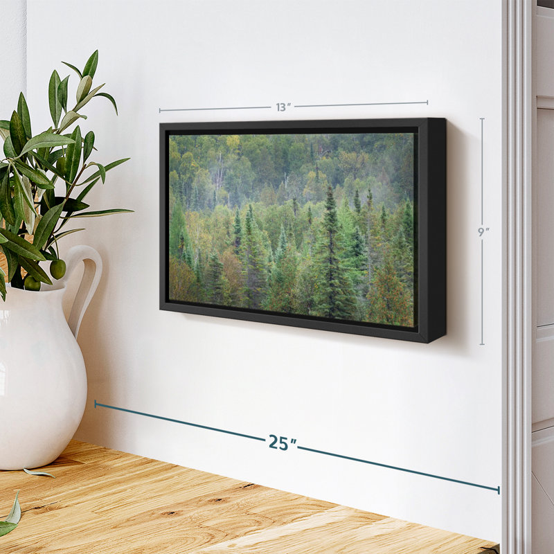" Superior National Forest Canvas Print ", 9" H x 13" W