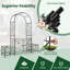 198cm W x 50cm D Metal Arbour in Black