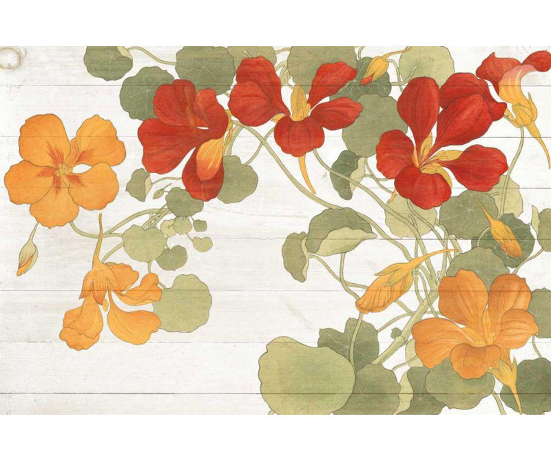 Ophelia & Co., galerie Wild Apple