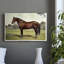 Animals Landscape Series CCVIII-1412867830