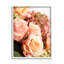 Rose rose, fleurs et géraniums, bouquet de printemps-65639692-65639693
