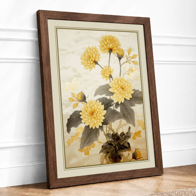 Chrysanthemum Study Botanical - Framed Print
