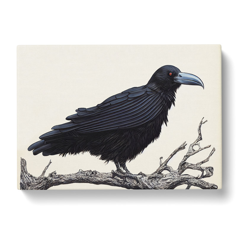Resplendent Raven Bird - Wrapped Canvas, 40cm H x 60cm W x 3cm D