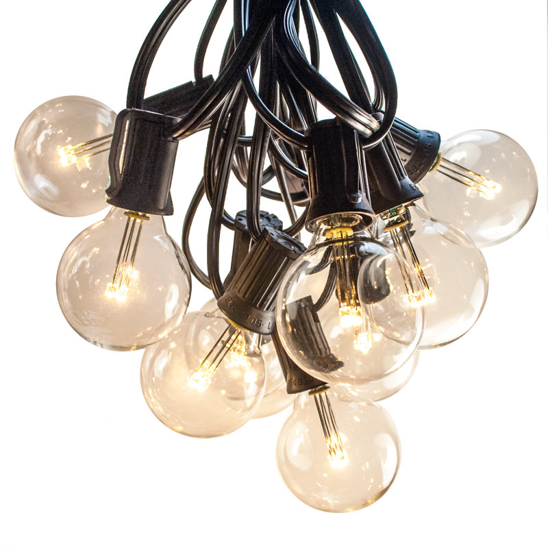 Guirlande de lumières Reyna, 100 pi, Noir