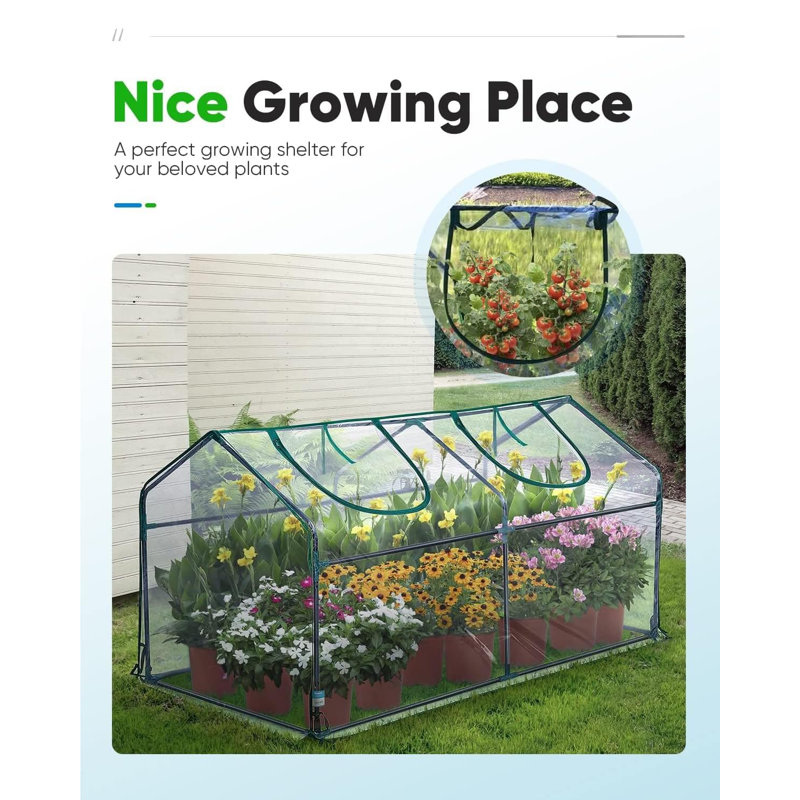 Mini serre cloche portable 71 po x 36 po x 36 po Quictent, imperméable, résistante aux rayons UV pour l'intérieur et l'extérieur (transparent)
