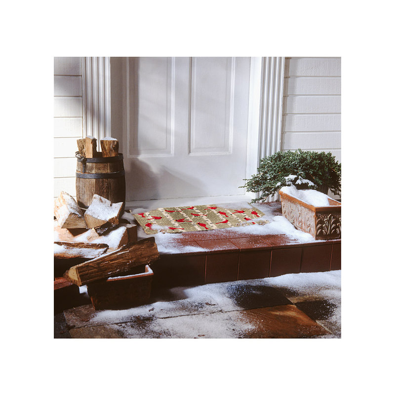 Tapis d'extérieur 18 x 30 Johnnette