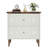 Mahzun 33.07'' Wide 2 -Drawer File Cabinet-91027699