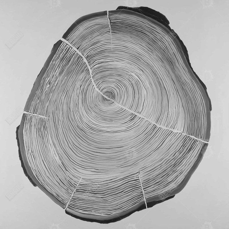 «Greycale Wood Log» sur toile