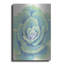 Art mural en métal «Pastel Succulent IV» par Tim O'Toole-101683759