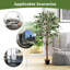 Plante 63 po