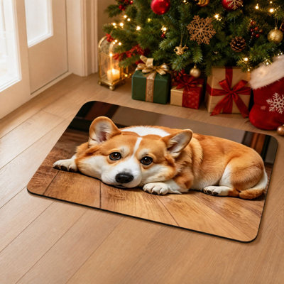 Crystal velvet rug Printed Cute Dog Diatomaceous Earth Doormat Absorbent  Bathroom Mat Stain And  Clean Entryway Mat