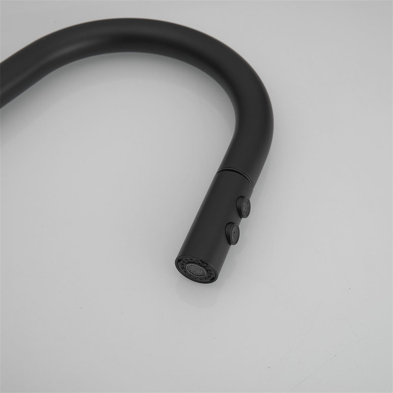 Robinet de cuisine à un trou avec douchette extractible et robinets d'évier de cuisine à poignée simple, Noir mat