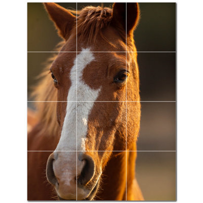 Horse Photo 4.25'' x 4.25'' Satin Ceramic Decorative Mural