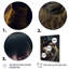 Mafia Pitbull II - impression sur toile-793730060-793730061
