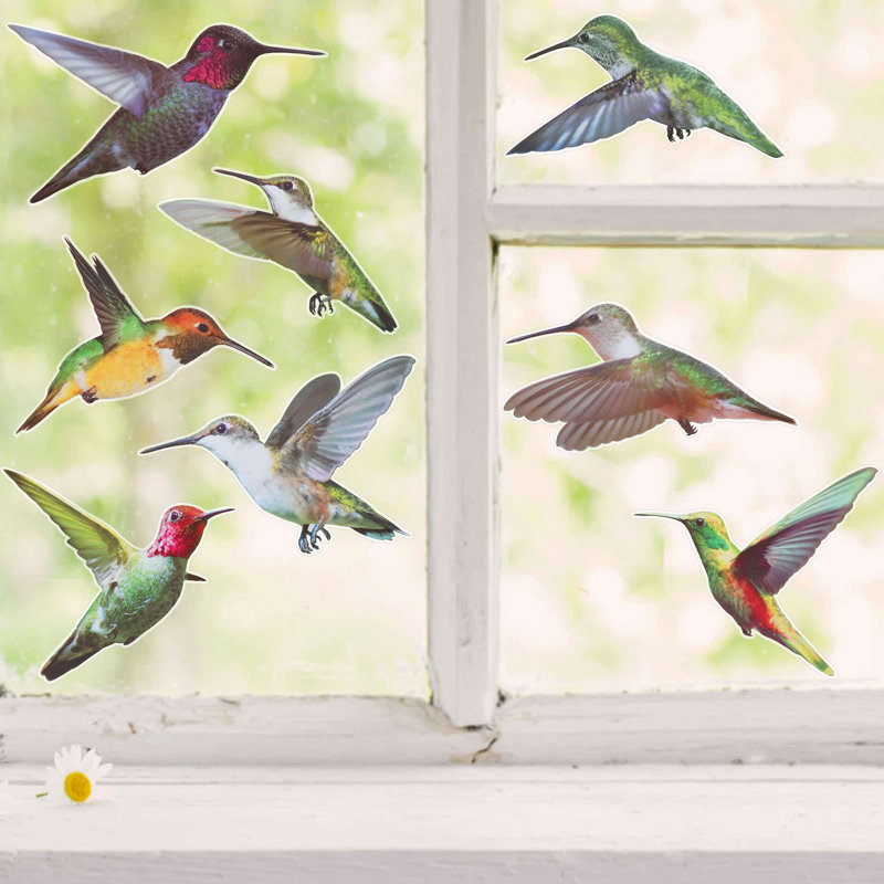 9 PCS Anti-Collision Window Clings Hummingbird Reminder Window Decals Non Adhesive for Bird Strikes