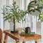 Petit arbre éclairé avec minuterie 50 lumières à DEL USB à piles sur table Bonsai plante artificielle pour décoration intérieure