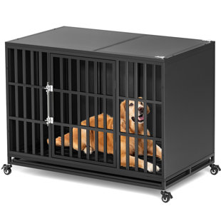 travel dog crate xxl