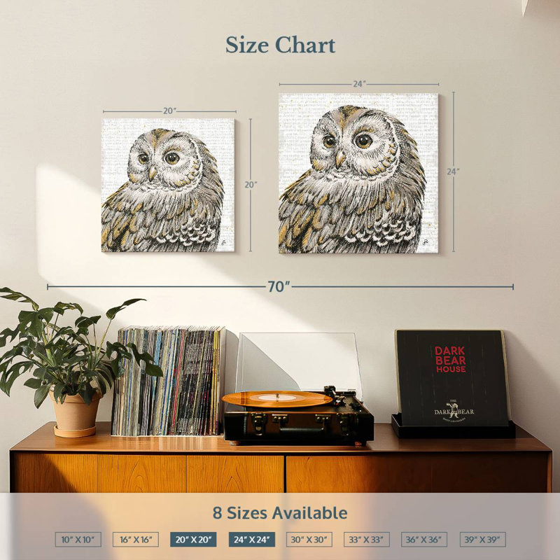 Brampt Beautiful Owls I, H 20 po x l 20 po