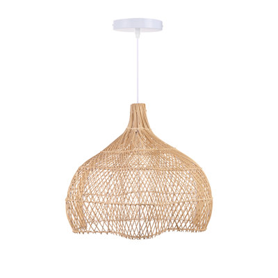 Luminaire suspendu à 1 lumière Braegyn