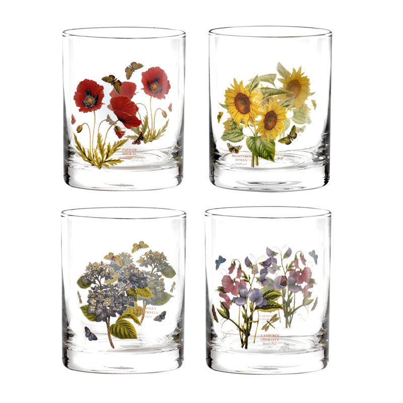 Botanic Garden 450ml Clear Glass Drinking Set, Set of 4