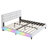 King Size Upholstered Platform Bed With LED Light Strips,White