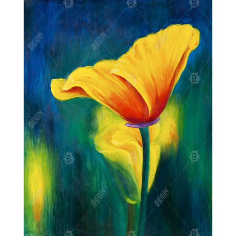 Superb Contrast Flowers Print On Canvas