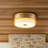Aubrielle 2 - Light  Flush Mount Ceiling Light with Fabric Drum Shade for Living Room