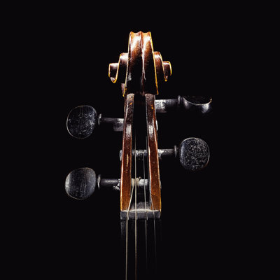 Violin Head Details by Dejankrsmanovic - Wrapped Canvas Print