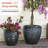 Shamell Pot Planter-66653515