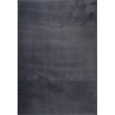 Schnabel Solid Colour Area Rug