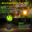 Roslie 11.7cm Solar Powered Outdoor Lantern