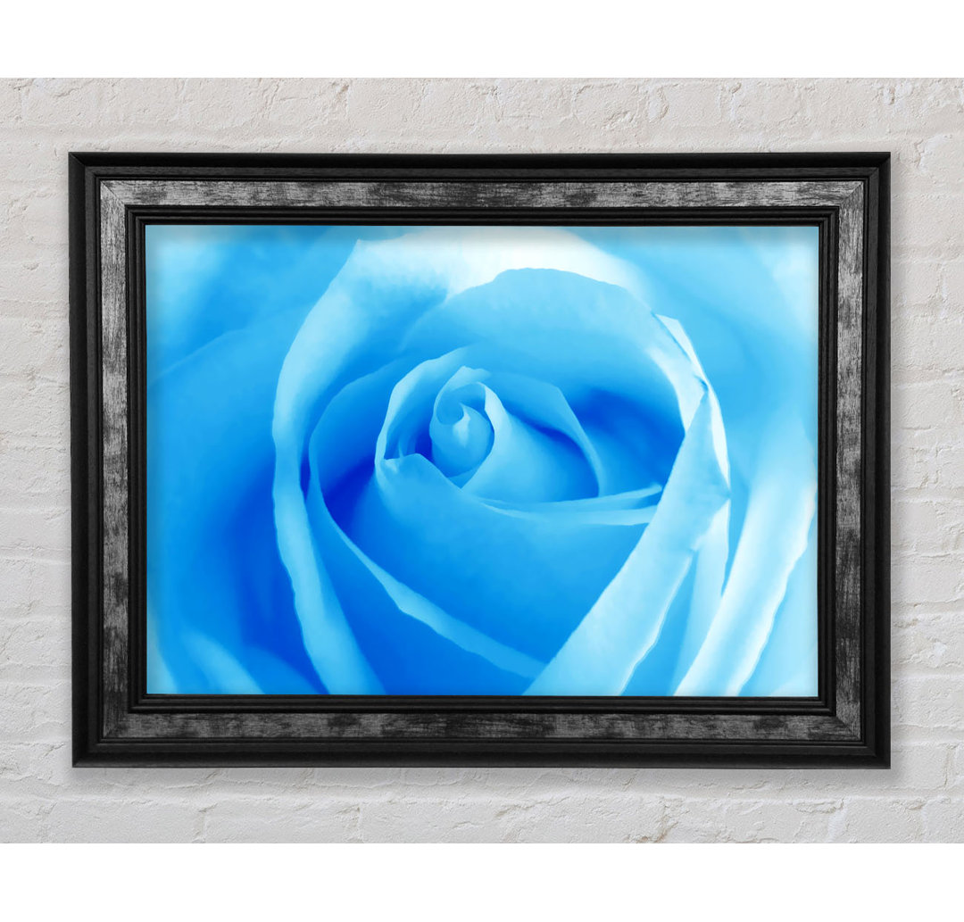 Baby Blue Rose - Einzelner Bilderrahmen Kunstdrucke