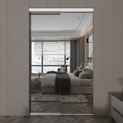 Portes de placard coulissantes en miroir