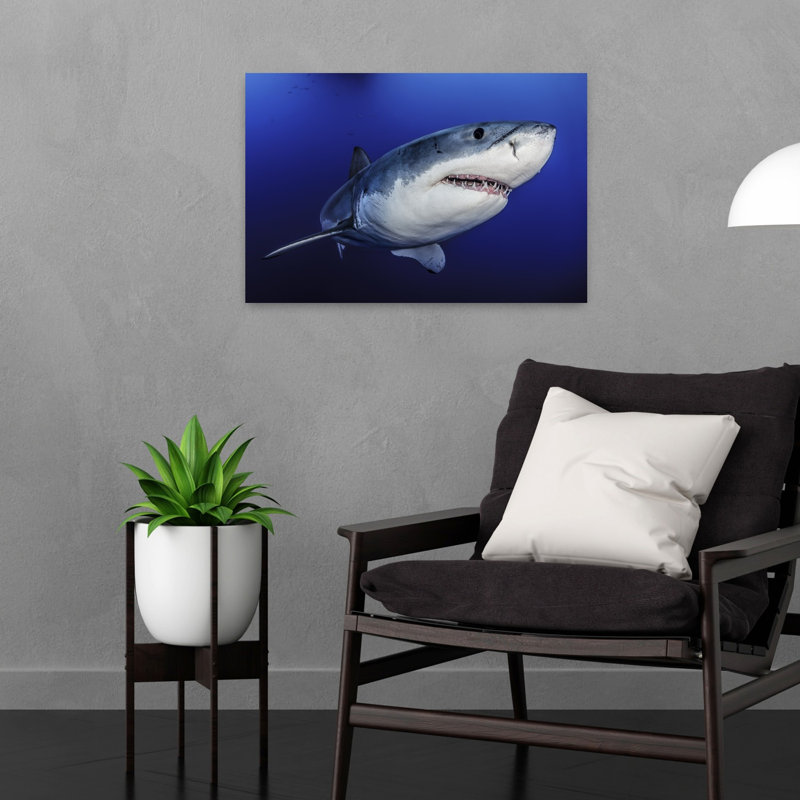 «Great White Ocean Hunter Contemporary Fish Shark Nature Ocean», impression murale, H 16 po x l 24 po