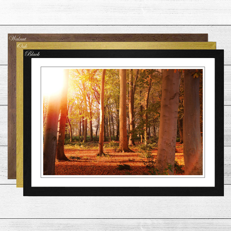 Landscape Autumn Forest Wood Framed Print, Black
