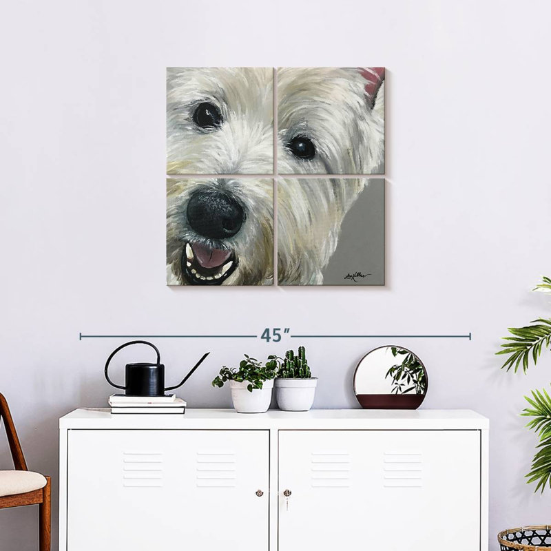 West Highland Terrier, H 26 po x l 26 po