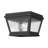 Bethlyn 8'' W Outdoor Flush Mount-725087847