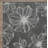 Rosmunda Floral Indoor / Outdoor Rug-510564671