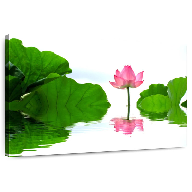 Serene Lotus, 26" H x 39" W