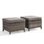 Ensemble de 2 repose-pieds en rotin avec coussins amovibles en osier pour patio-2145596459-2145596456