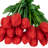 Tulip Arrangement