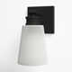 Libre Single Light Glass Steel Dimmable Armed Sconce