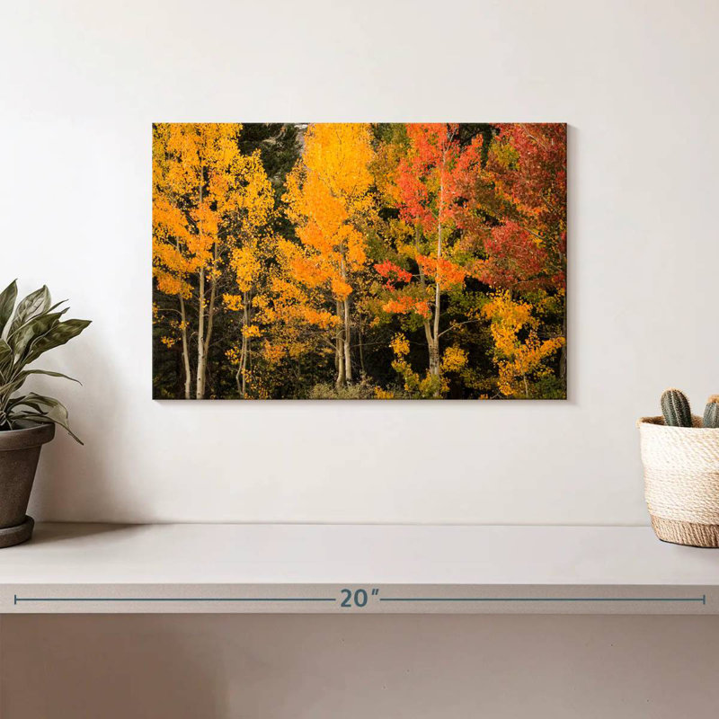 Harnek Aspen aux teintes d'automne, H 8 po x l 12 po