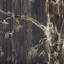 «Forest II» par Natali a, toile texturée embelli à la main-92377793