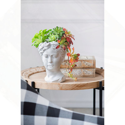 Jardinière en ciment de style grec / décoration de jardin intérieur / extérieur, P 6 po x 9 po