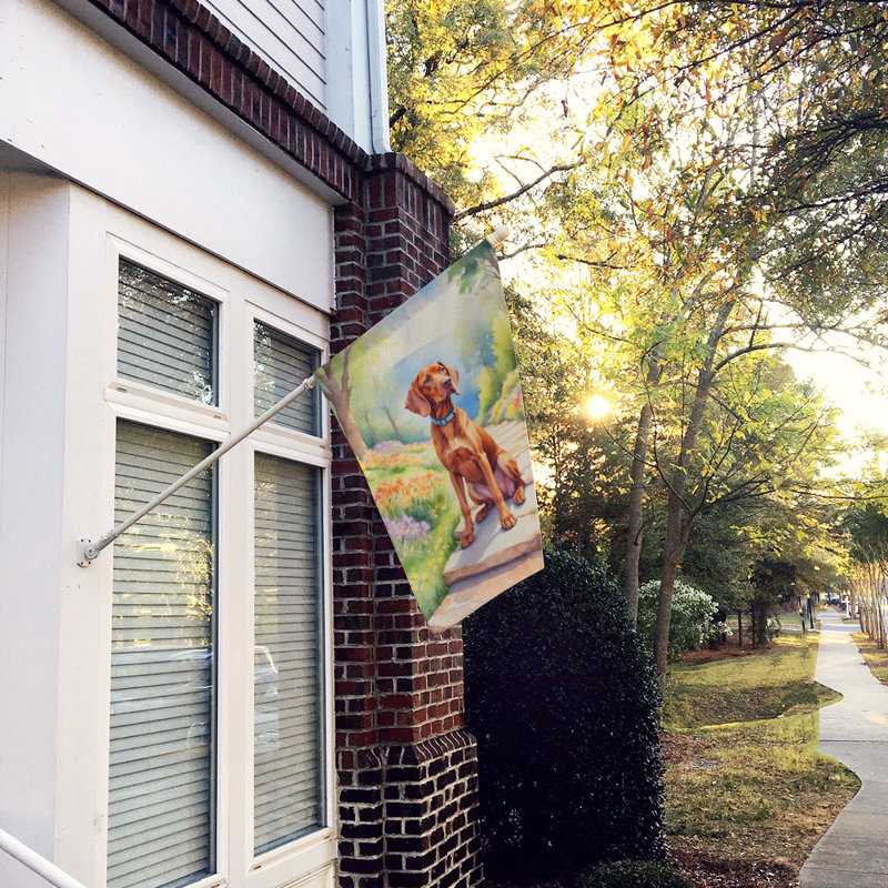 Drapeau de maison en polyester à double face H 40 po x l 28 po Hok