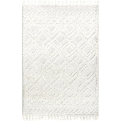 Akia Lattice High/Low Tassel Area Rug